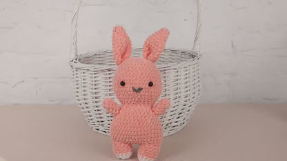 Crochet Bunny Plushie - Amigurumi Toys Readymade