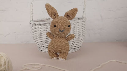 Plush Bunny - Crochet Amigurumi DIY kit